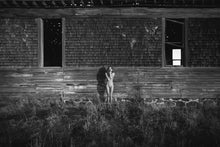 Load image into Gallery viewer, GHOST HOUSE 004

